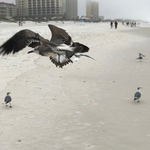 Meet your Posher, Jacklianne